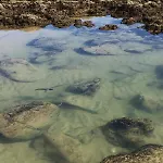 Beautiful T2 Olhos Do Mar Ольюш-ди-Агуа (Албуфейра)