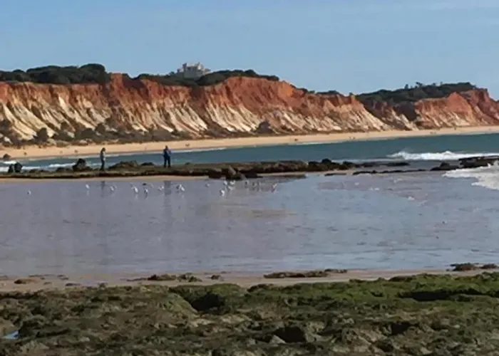 דירה Beautiful T2 Olhos Do Mar